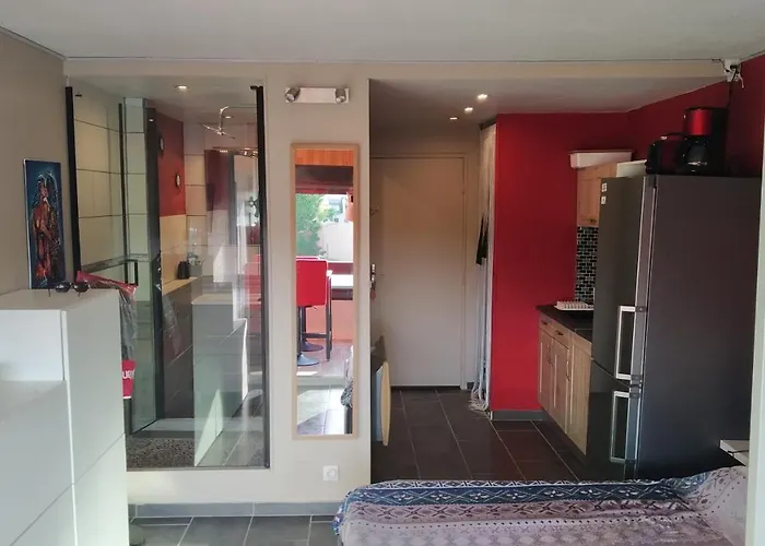 Le Venusia Du Cap - Clim, Stationnement, Menage Et Linge Fournis Apartment